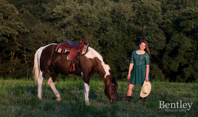 horse, senior, portrait, Athens, GA, Bentley, Winder